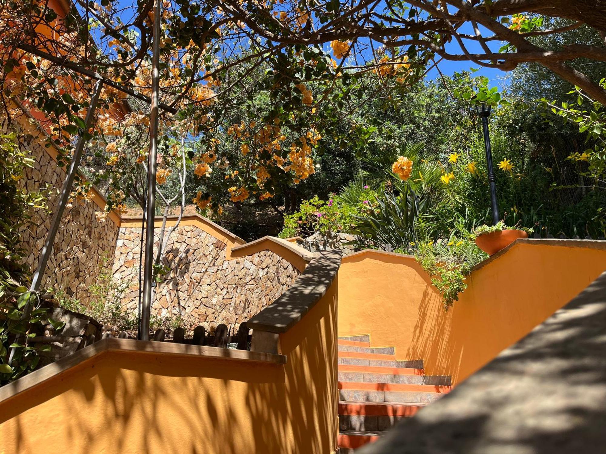 Villa Con Giardino Vista Mare Capitana Eksteriør billede